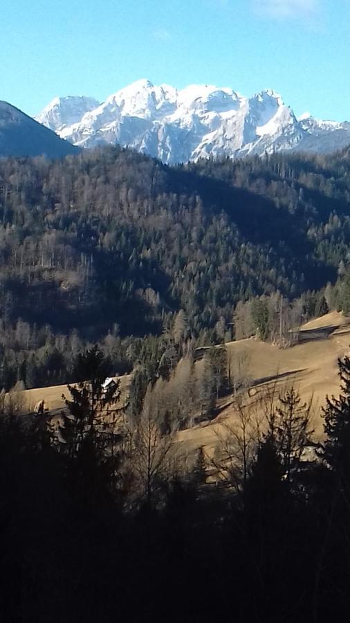 Apartma Podlogar Golica Triglav Lejlighed Jesenice Eksteriør billede