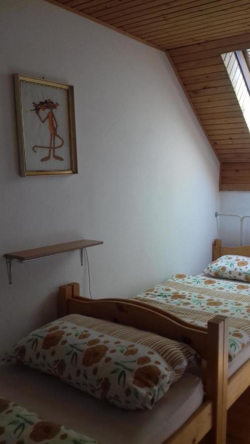 Apartma Podlogar Golica Triglav Lejlighed Jesenice Eksteriør billede
